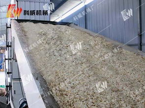 高效農(nóng)副產(chǎn)品干燥新選擇——解析鄭州科威大蒜烘干機(jī)的自動鋪料技術(shù)