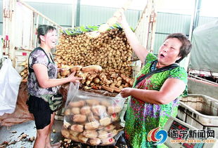 遂寧農(nóng)批市場 50億銷售額背后的“菜籃子”力量