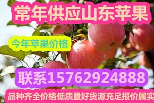 沂水鴻達(dá)農(nóng)副產(chǎn)品購銷處 可靠的紅星蘋果批發(fā)供應(yīng)商